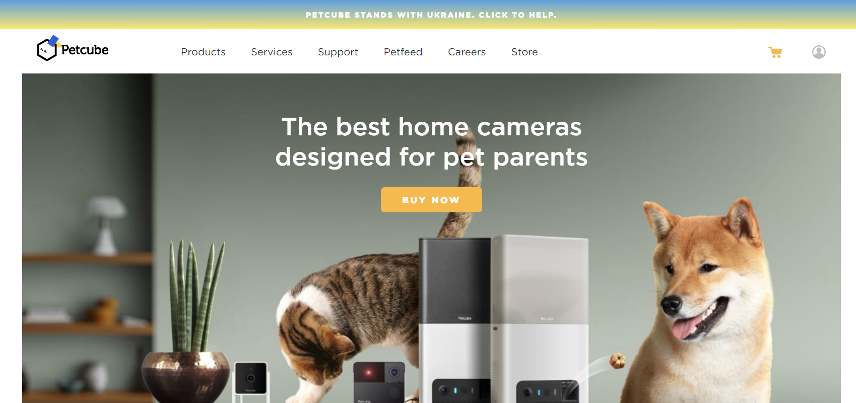 Petcube is a developer of interactive camera devices