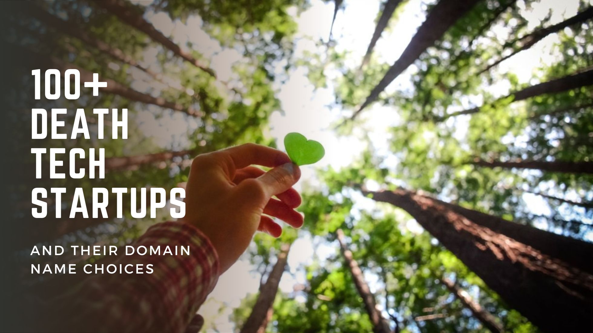 Death is the Ultimate Tech Debt and Longevity is the New Alpha