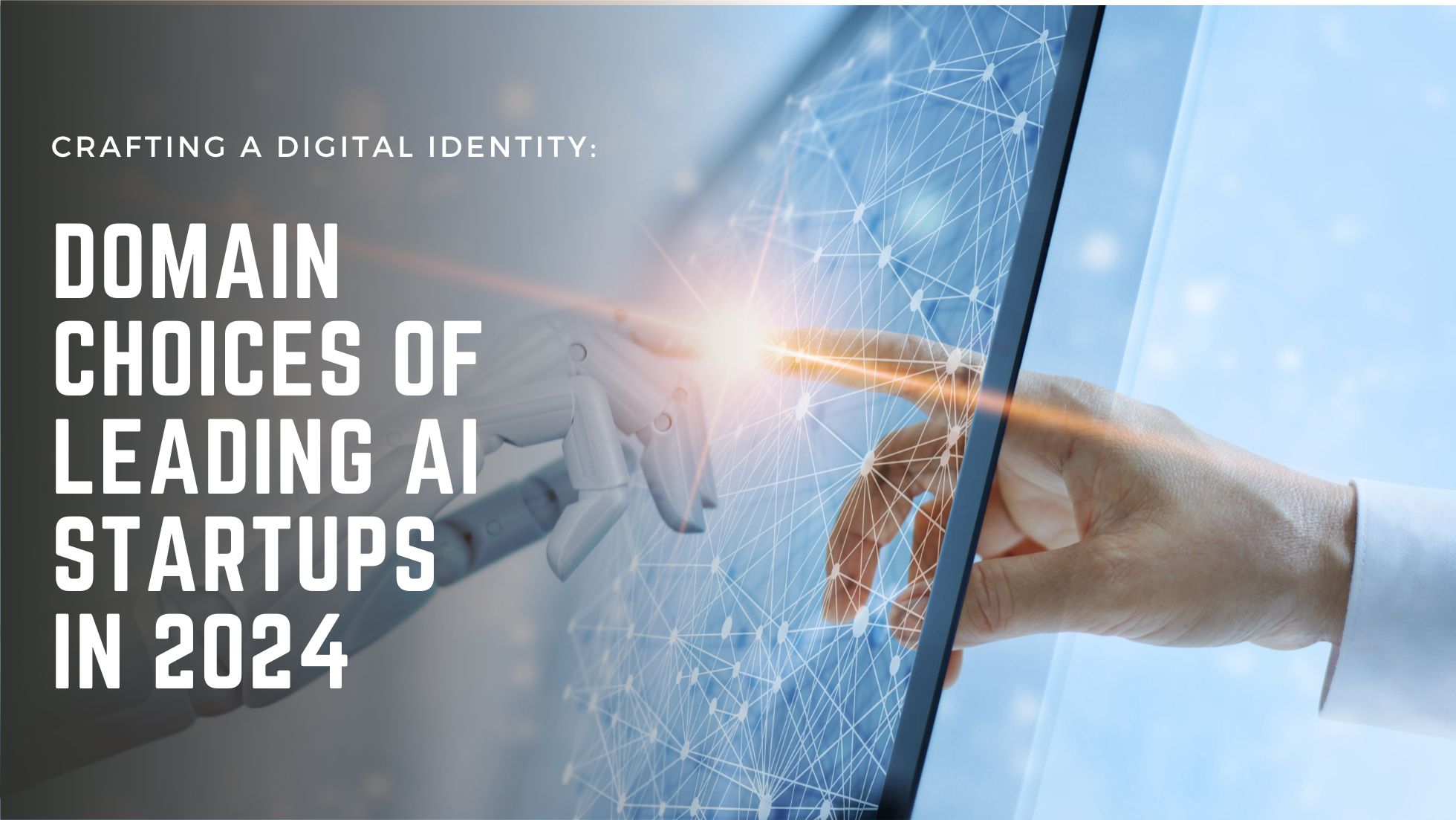 Domain Choices of Leading AI Startups in 2024