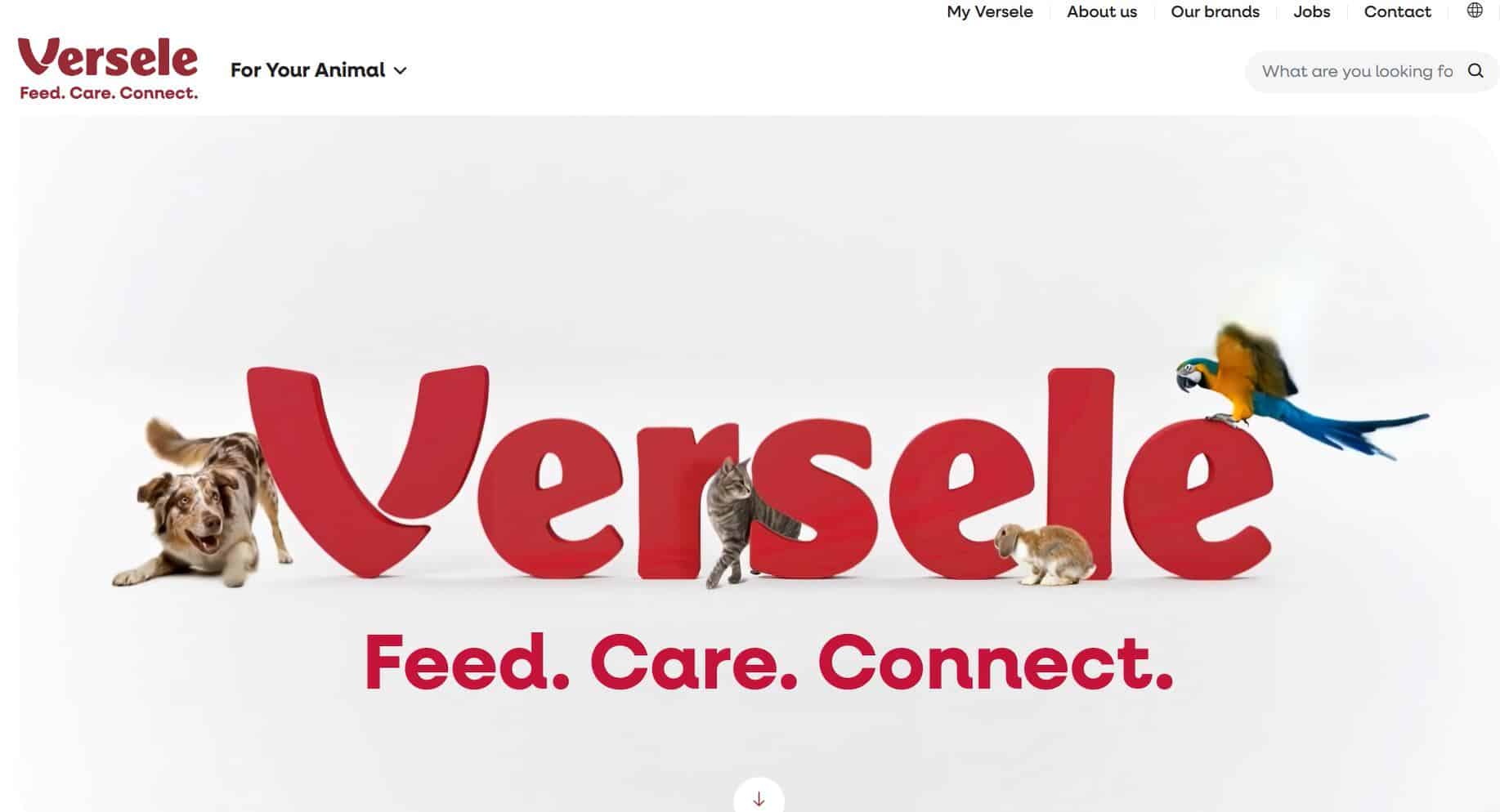 Versele-Laga rebrands to Versele